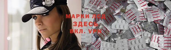 мдпв Дмитриев