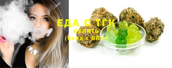 дмт Ельня
