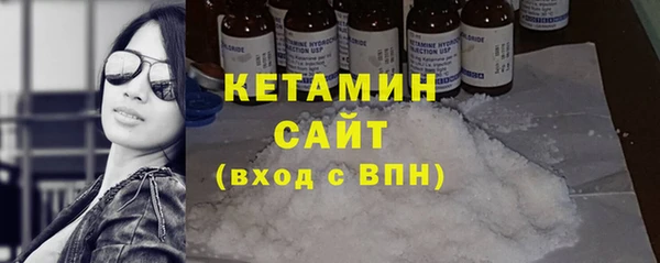 дмт Ельня