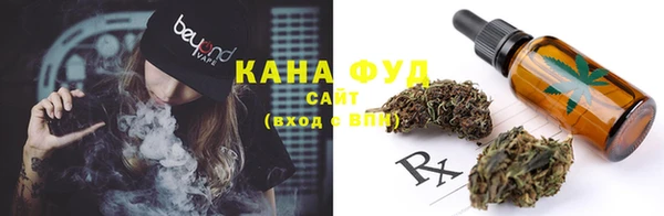 дмт Ельня