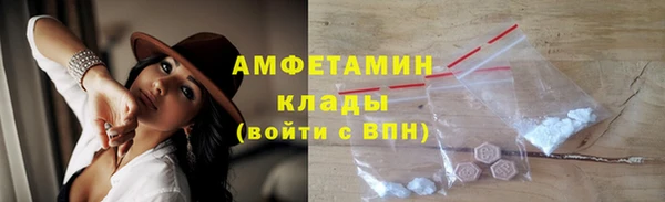 дмт Ельня