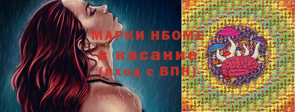 дмт Ельня