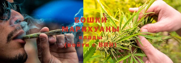 мдпв Дмитриев
