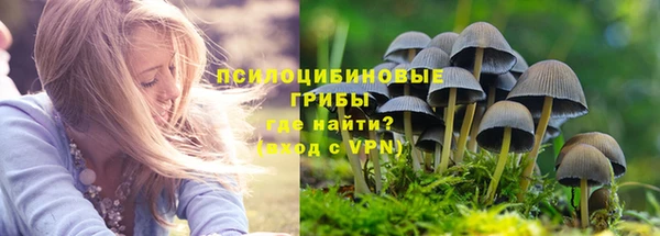 амфетамин Елизово