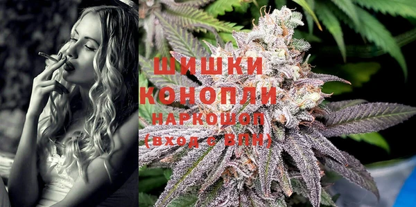 мдпв Дмитриев