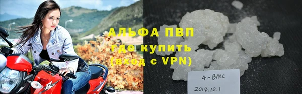 дмт Ельня