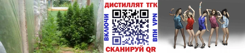 МЕГА ONION  Салехард  ТГК вейп с тгк  наркота 
