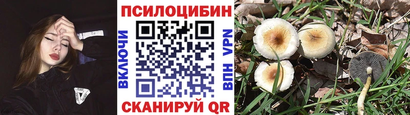 Галлюциногенные грибы GOLDEN TEACHER Салехард